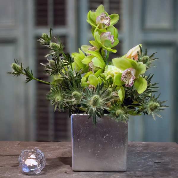 Green orchid arrangement in a square silver vase with spiky thistle accents