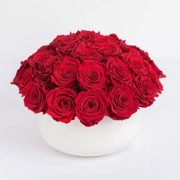 Large Red Preserved Roses - Lasts a full year