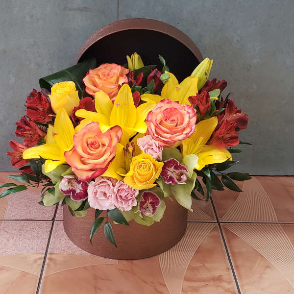 Everything nice box #19