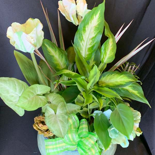 Tropical arrangement with pale flowers and large variegated leaves in a round vase