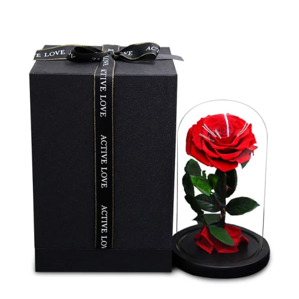 Red rose under a glass dome beside a black gift box with ribbon