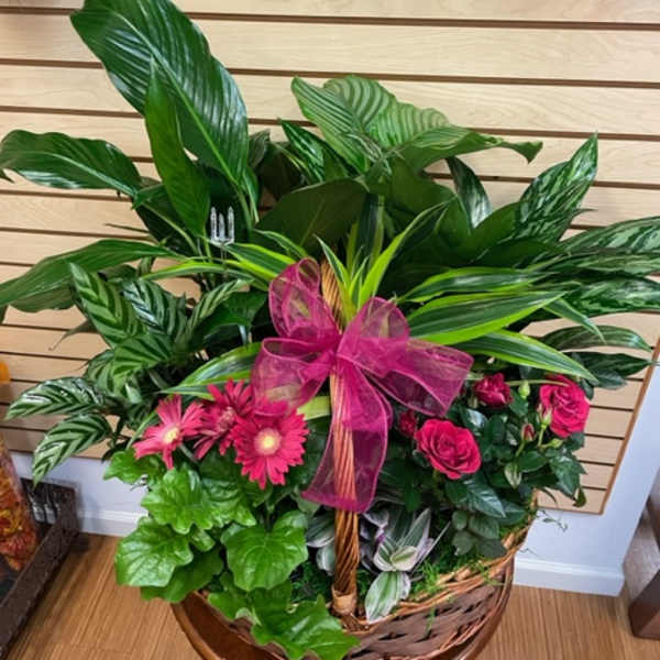 Basket arrangement with pink flowers, tropical foliage, and a magenta bow