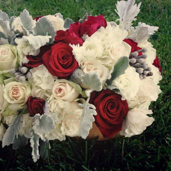 Bouquet of red and white roses with silver foliage