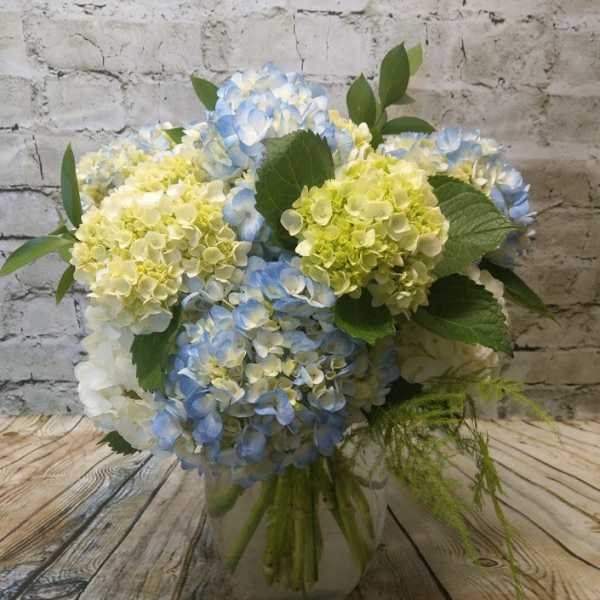 Blue and pale green hydrangea bouquet in a clear glass vase