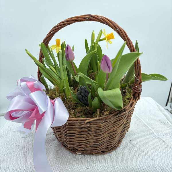 Blooming Spring Plant Basket