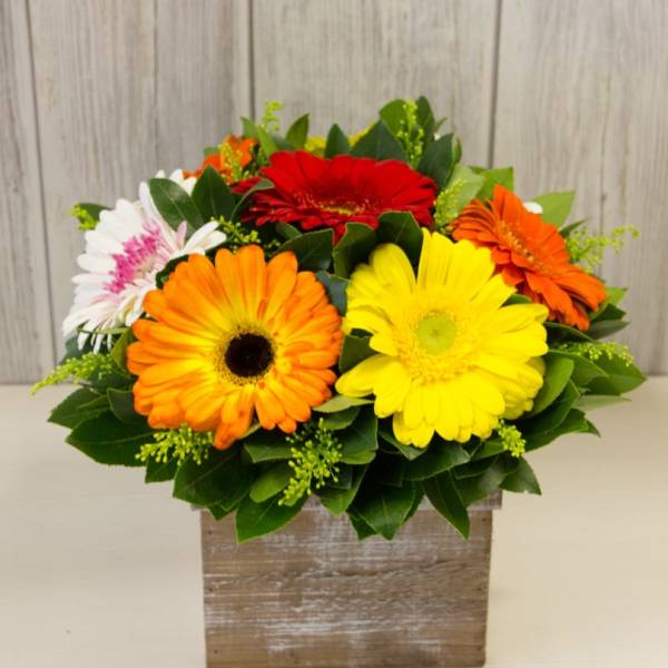 Colorful gerbera daisy arrangement in a rustic wooden box