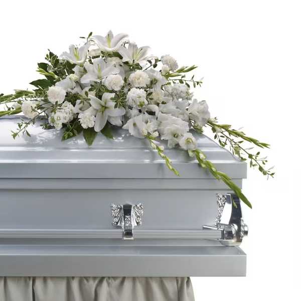 Symphony of a Moment