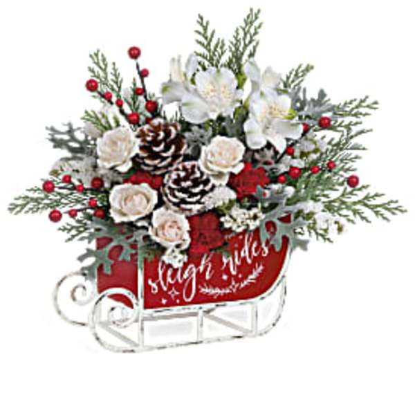 Holiday bouquet in a red sleigh container with white flowers and pinecones
