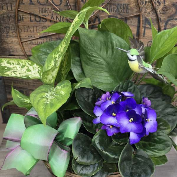 Potted plant arrangement with purple African violets and a decorative bird