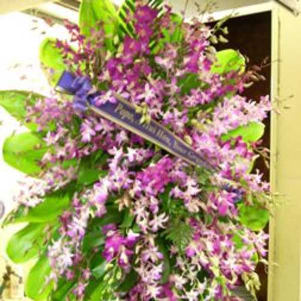 Tall purple orchid spray with large green leaves