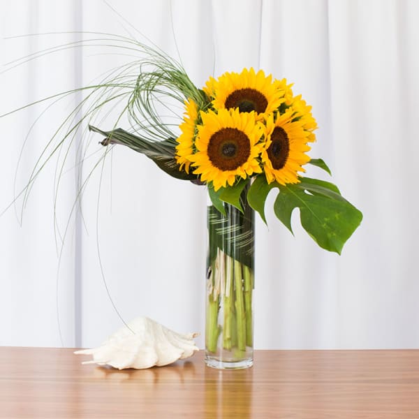 Tall glass vase of bright sunflowers with a large tropical leaf and looping grass beside a white seashell.