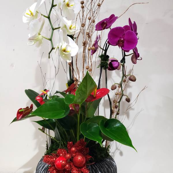 Tall orchid arrangement in a black vase with red ornaments