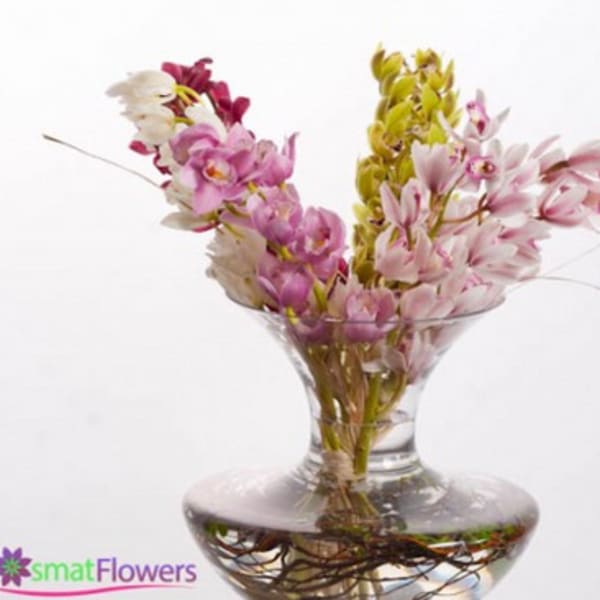Pink and white orchids in a clear glass vase
