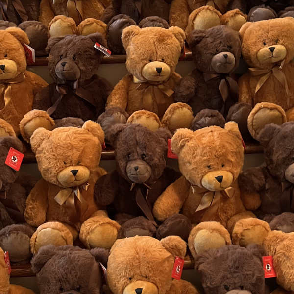 Rows of brown and tan teddy bears with ribbon bows