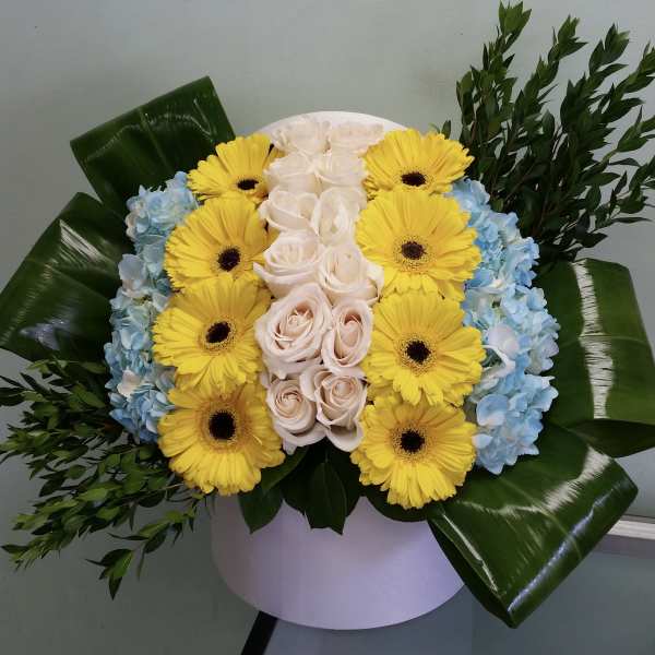 Bouquet of yellow gerbera daisies, white roses, and blue hydrangeas in a round box