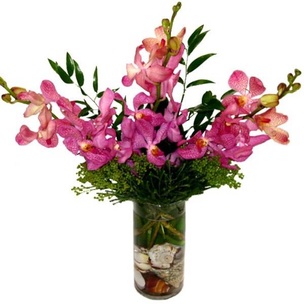 Pink orchids arranged in a tall glass vase with greenery