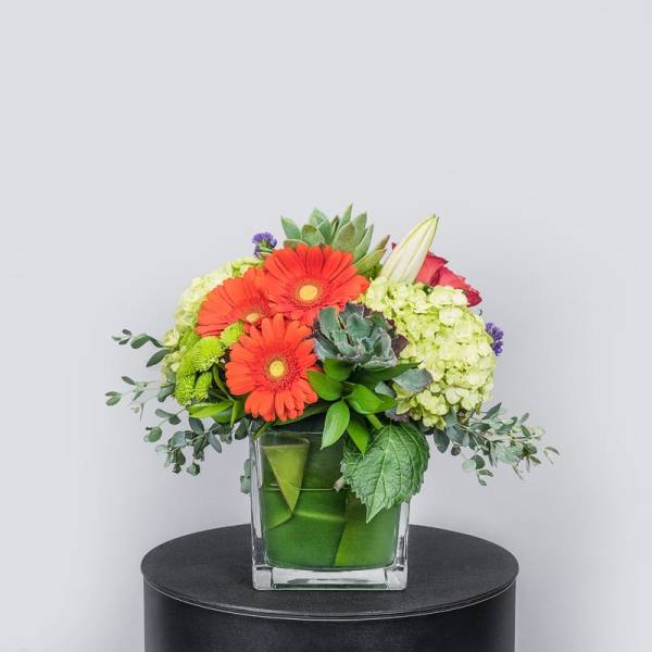 Bright mixed bouquet in a square glass vase with orange gerberas and green hydrangeas