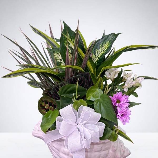Mixed tropical plant arrangement in a pink shell-shaped container with a white bow