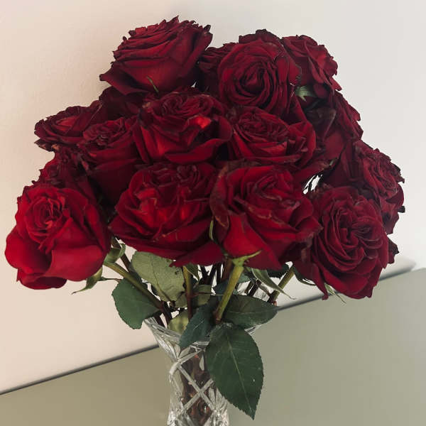 2 Dozen Formal Vase Roses