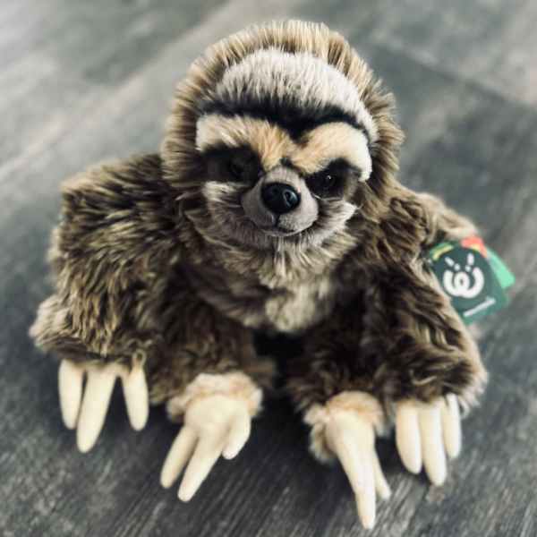 Plush Sloth