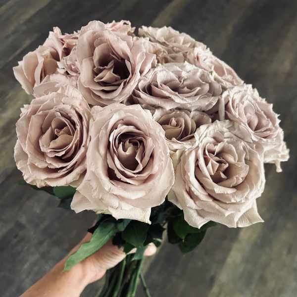 2 Dozen Ribbon Tied Roses