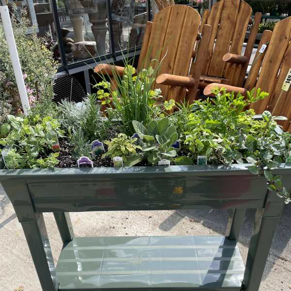 Outdoor planter table filled with assorted green herbs and plants
