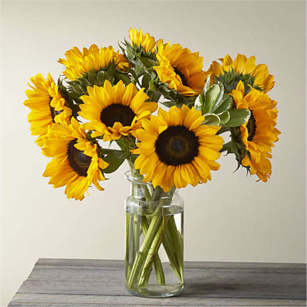 Bouquet of sunflowers in a clear glass vase