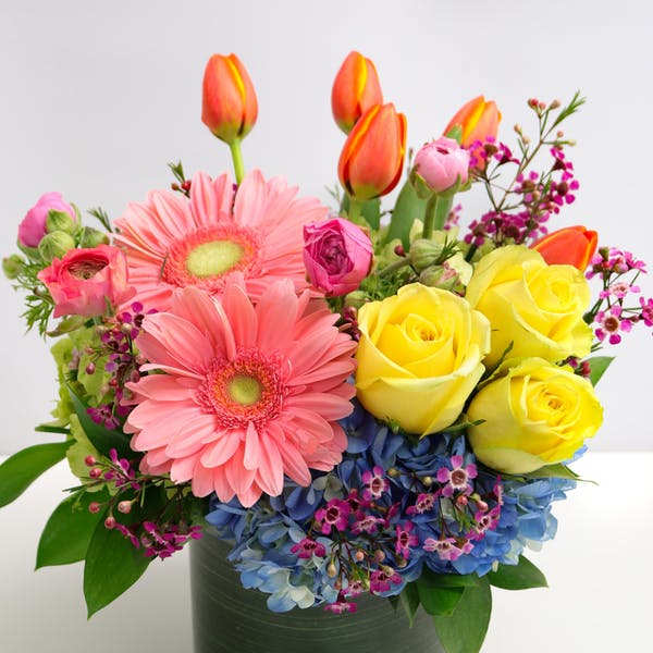 Colorful bouquet of gerbera daisies, roses, tulips, and hydrangeas in a dark vase