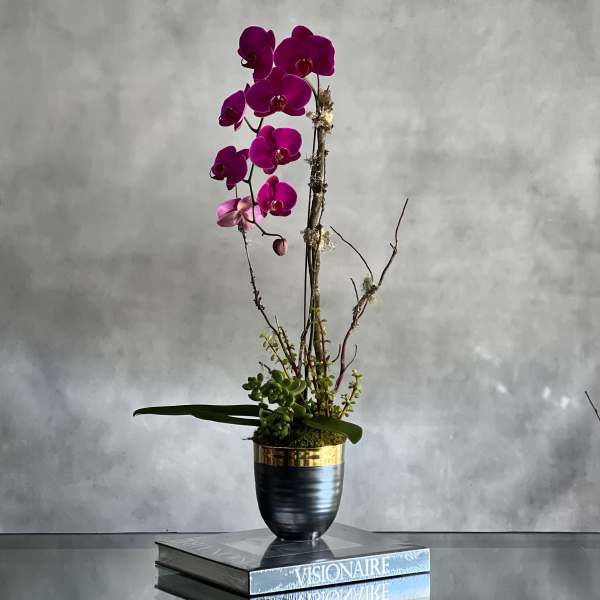 Tall orchid arrangement in a black and gold vase on stacked books