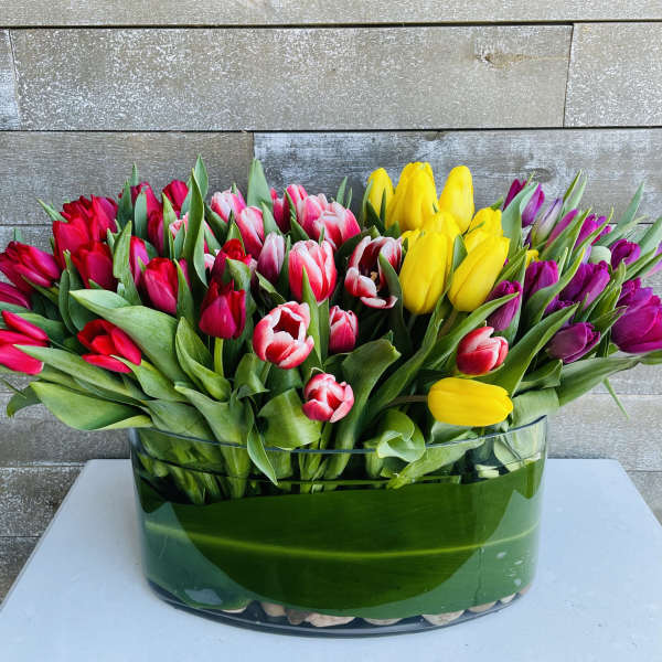 Colorful tulip arrangement in a clear glass vase