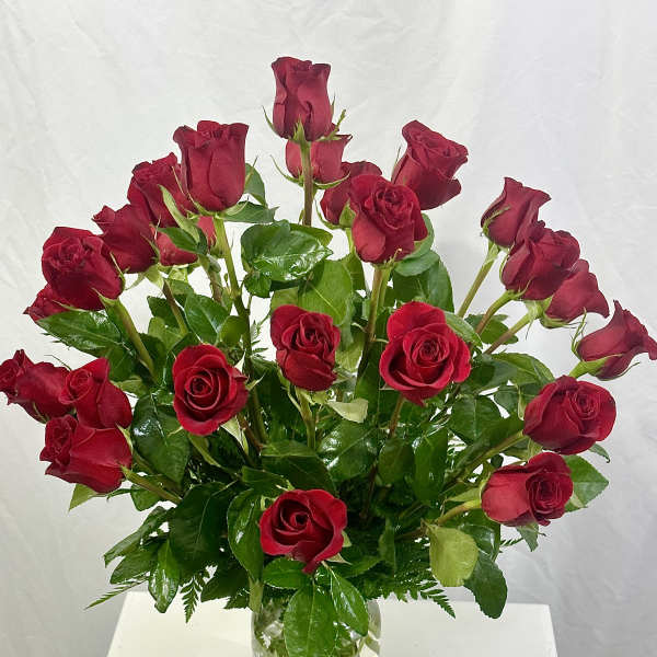Two Dozen Roses