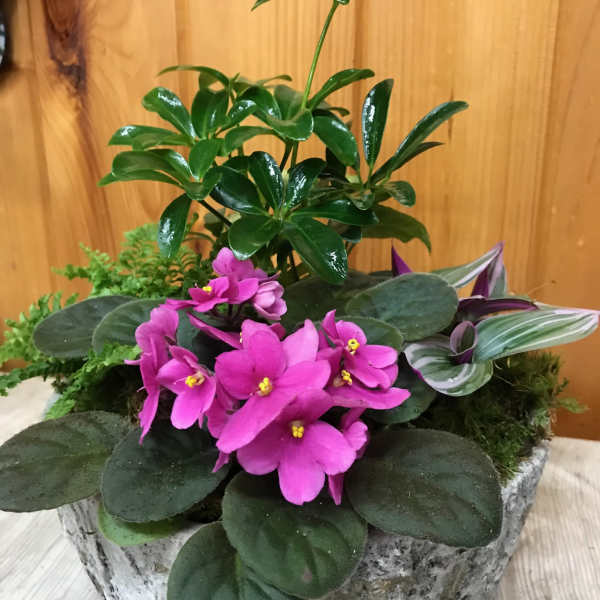 Potted plant arrangement with pink flowers in a stone-look container