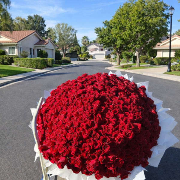 Large dome bouquet of red roses wrapped in white paper