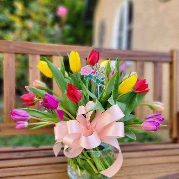 Rainbow Rays Tulip (Premium)