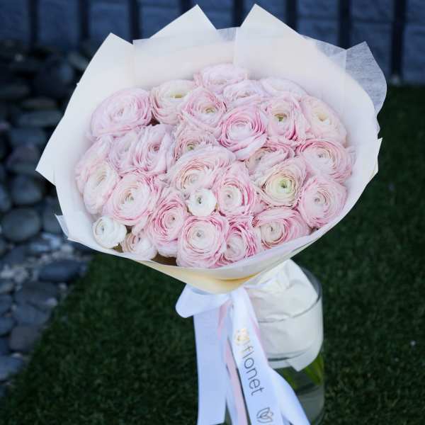 Bouquet of pale pink ranunculus wrapped in white paper with ribbon