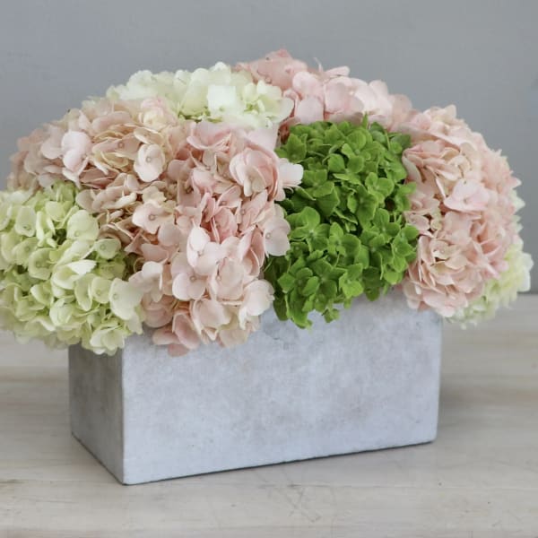 Hydrangea arrangement in a rectangular white container
