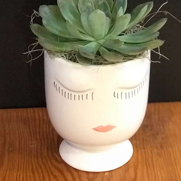 Succulent in a white face-shaped planter