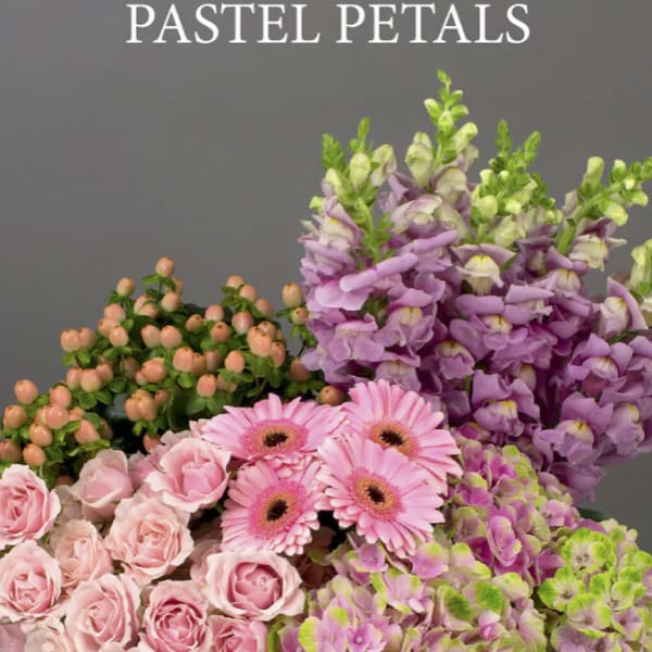 Pastel pink and purple flowers arranged beneath the words "Designer’s Choice Pastel Petals"