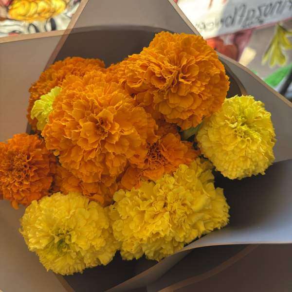 Bouquet of orange and yellow marigolds wrapped in dark paper
