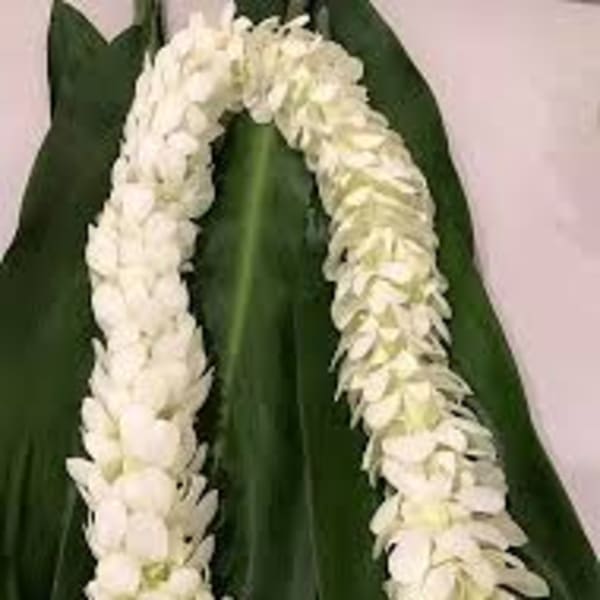 White flower lei draped over large green leaves