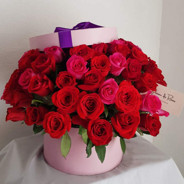 Box of red and pink roses with a purple ribbon