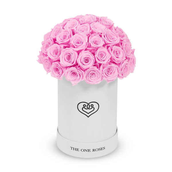Pink roses arranged in a white cylindrical box