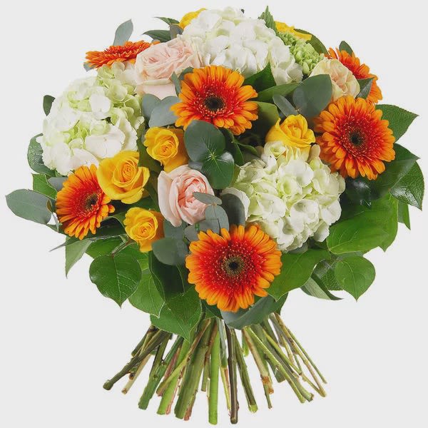 Bouquet of orange gerbera daisies, white hydrangeas, and pale roses