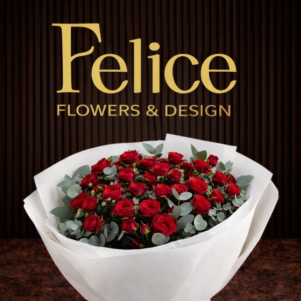 Bouquet of red roses wrapped in white paper with a ribbon