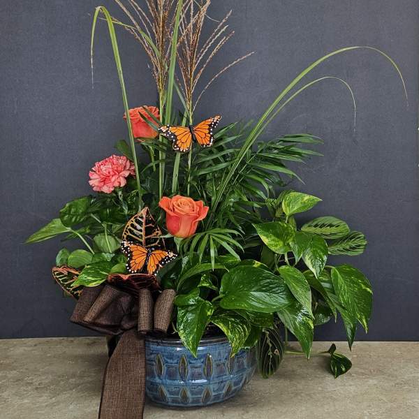 Tropical plant arrangement with orange roses, pink carnations, and butterfly accents in a blue pot