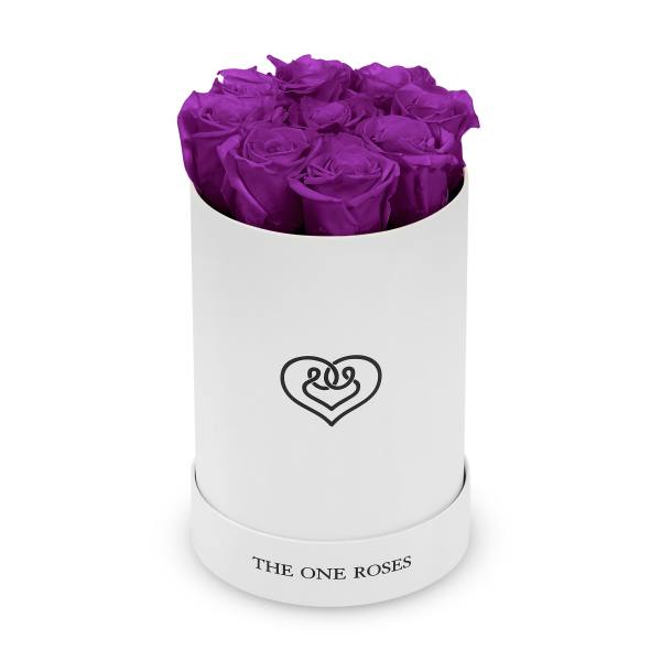 Purple roses arranged in a white cylindrical box