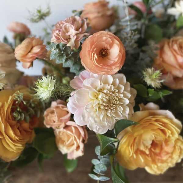 Designer’s Choice- Citrus