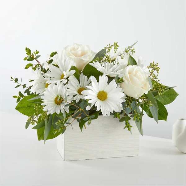 White daisies and roses arranged in a white rectangular box