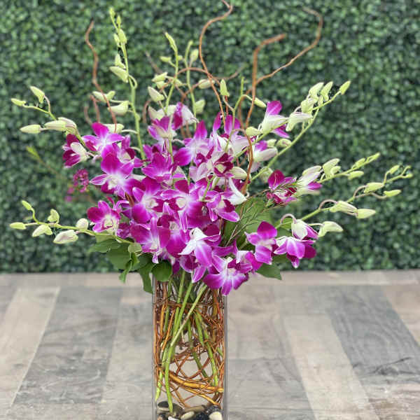 Pink and white orchids arranged in a tall glass vase