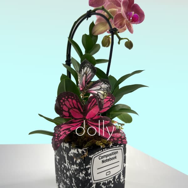 Mini Orchid with Butterfly